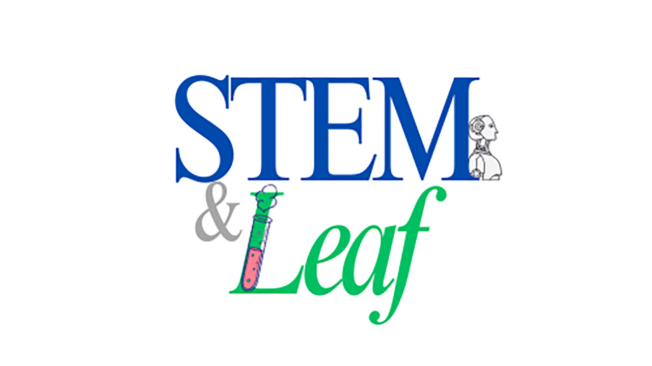STEM & Leaf