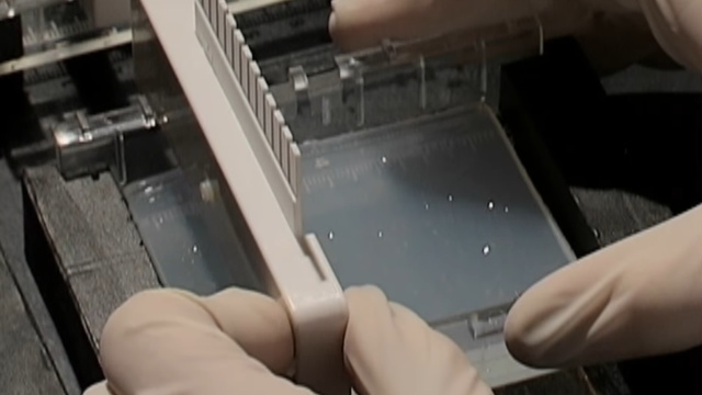 PCR: Polymerase Chain Reaction